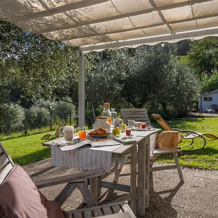 Oliviana Villa Montecarlo