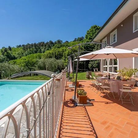 Oliviana * Montecarlo