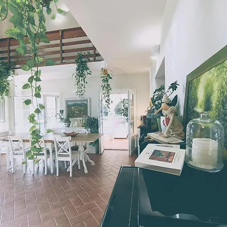 Vila Oliviana Montecarlo