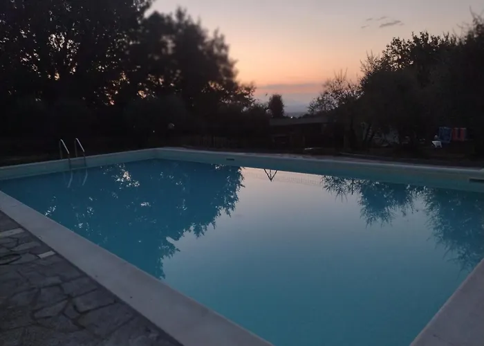 فيلة Oliviana مونت كارلو